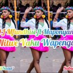 DJ Mfundhisi ft Maponyani nitwe vaku wapenga Mp3 Download