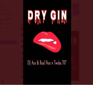 DJ Ace – Dry Gin Ft Real Nox & Tweba 707