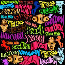 Shatta Wale – Unicorn