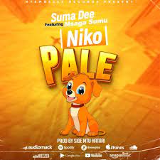 Suma Dee ft Msaga Sumu – NIKO PALE