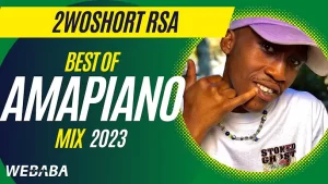 Amapiano Mix: 2woshort – Best Of Amapiano Mix 2023 Ft DJ Webaba