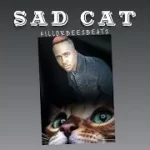 Killorbeezbeatz – Sad Cat