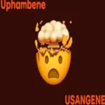 Ice Beats Slide & Sbuda Maleather – Uphambene