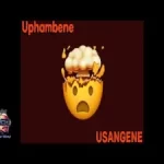 ICE BEATS SLIDE – UPHAMBENE FT SHUDA MALEATHER