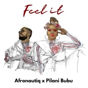 AfroNautiq – Feel It ft. Pilani Bubu