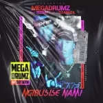 Megadrumz – Ngibusise Nami ft TeeBay RSA & DJ Anuza