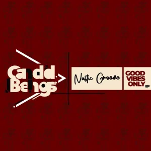 EP: Nastic Groove – Good Vibes Only