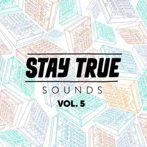 ALBUM: Stay True Sounds Vol.5 (Compiled by Kid Fonque)