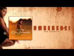 ZEE NXUMALO – UMSEBENZI