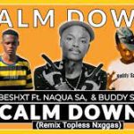 Mp3 Download Fakaza: Shebeshxt – Calm Down (Remix Topless Nxggas) ft Naqua SA & Buddy Sax