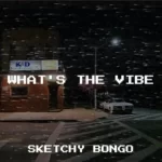 Sketchy Bongo – What’s The Vibe