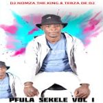 Money Money Dj Nomza ft Tebza De DJ Mp3 Download Fakaza