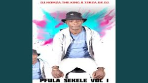 Money Money Dj Nomza ft Tebza De DJ Mp3 Download Fakaza