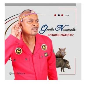 ALBUM: Gadla Nxumalo – Iphakwelaphi Mp3 Zip Download Fakaza