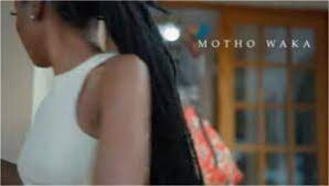 Mp4 Download Fakaza: Katzen V & Willza De Dj – Motho Waka Video