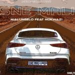 Malungelo ft Nokwazi – Sne Mali Mp3 Download Fakaza