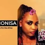 Mp3 Download Fakaza: Ms DD x Dj Tinky – Matshonisa Ft. Pro Wa Africa