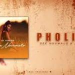 Pholile 2.0 Mp3 Download Fakaza