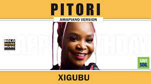 Pitori – Xigubu VIDEO Mp4 Download Fakaza