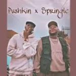 Pushkin x Springle – Makhi (Original Mix) Mp3 Download Fakaza