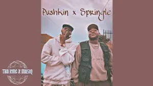 Pushkin x Springle – Makhi (Original Mix) Mp3 Download Fakaza