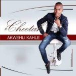 Mp4 Download Fakaza: Cheetah Sgabiso – ICHEETAH NIGADE MINA