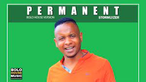 Stormlyzer – Permanent Mp3 Download FakazaStormlyzer – Permanent Mp3 Download Fakaza