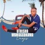 Mp3 Download Fakaza: Thisha Wamagcokama – Operation qed’amadixa