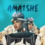 Zandie Khumalo – Amatshe Mp3 Download Fakaza