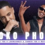 Felo Le Tee X LeeMckrazy X Muziqal tone – Phoko Phoko ! Ft. Thabza Tee