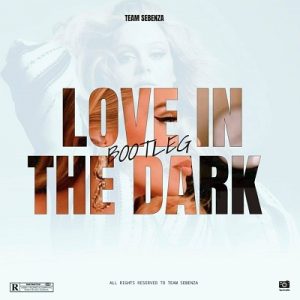 MUSICTeam Sebenza – Love In The Dark (Bootleg)