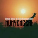 Tongai Moyo Songs 2023 : Munyengeri