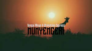 Tongai Moyo Songs 2023 : Munyengeri