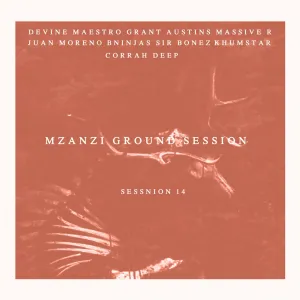 VA – Mzanzi Ground Session 14