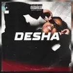 PRVIS3, Shibilika & P L U T O – Desha ft. Ntwana_R & Triple X Da Ghost