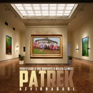 Professor, The Ruperts & Diliza – Patrek (Azvibhadari) ft Meez