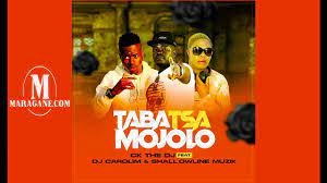 Ck The Dj – Taba Tsa Mojolo – Ft Dj Carolim & Shallowline Muzik