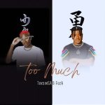 TuksinSA & Fuza – Too Much