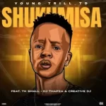 Young Trill TD – Shukumisa ft. TK Small, Dj Thapza & CreatitveDj