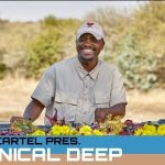 Chronical Deep – Groove Cartel House Mix