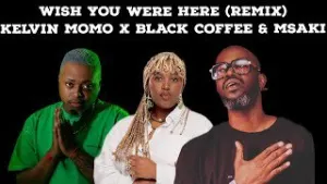 Kelvin Momo & Black Coffee – Wish You Were Here (Remix) Ft Msaki