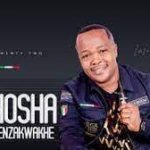 uQhosha ngokwenzakwakhe – Ushone ngalena