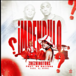 Dr Malinga – Impendulo