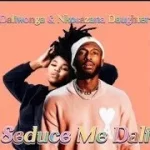 Daliwonga & Nkosazana Daughter – Seduce me Dali Ft. Mellow & Sleazy