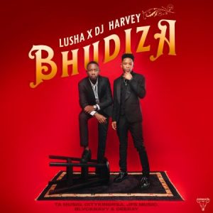 DJ Harvey & Lusha – Bhudiza ft TA MusiQ, Citykingrsa, JFS Music, Blvcknavy & Deeray