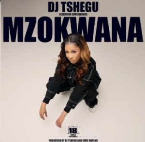 DJ Tshegu – Mzokwana ft Sims Noreng