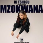 DJ Tshegu – Mzokwana ft Sims Noreng