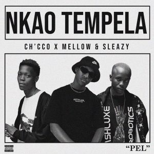 Chicco ft. Mellow & Sleazy – Nkao Tempela