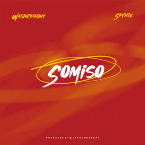 Skynze – Somiso Sped Up