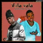 Bongza Bee Feat. DrummeRTee924 – Vula Vala